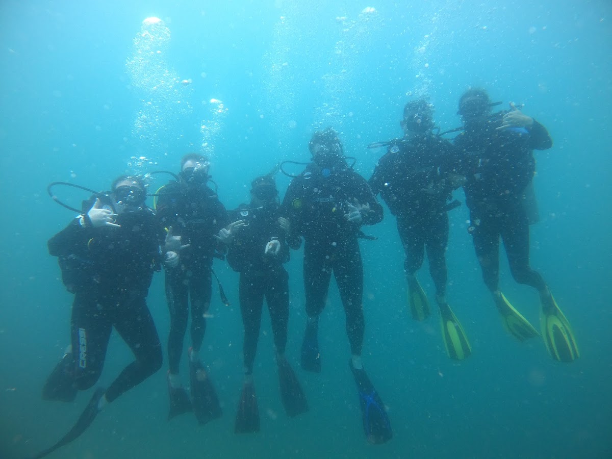 Cham Island Diving Center — фото 2