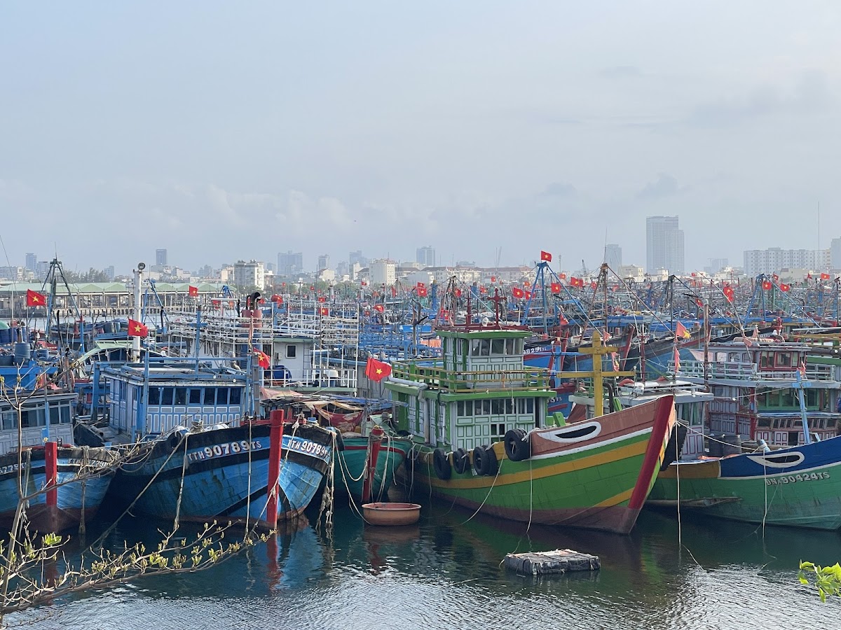 Fishing harbor