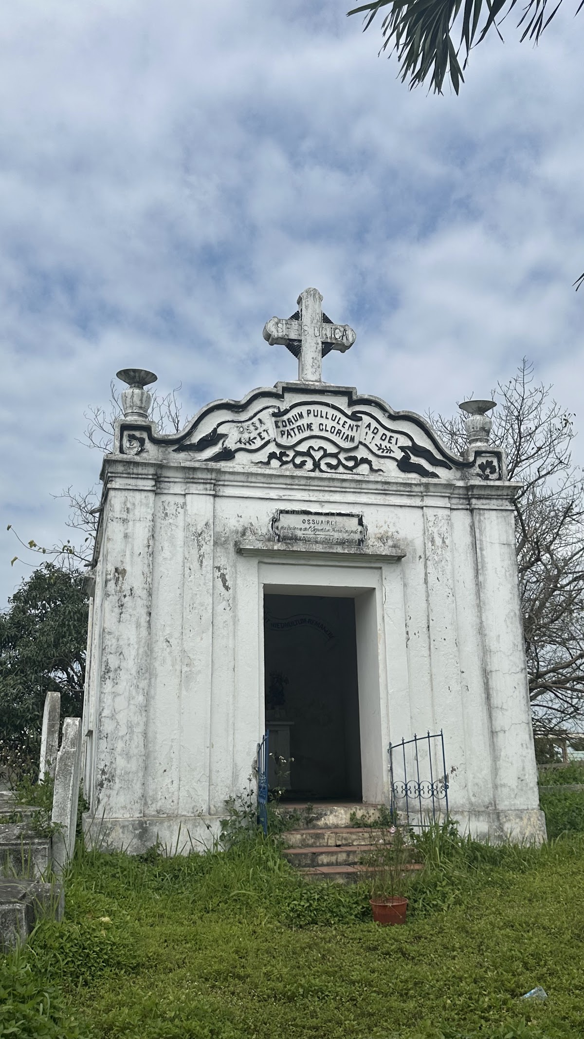 Great Views of Son Tra and Da Nang Graveyard