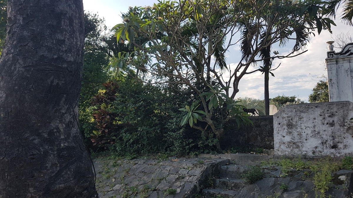 Great Views of Son Tra and Da Nang Graveyard — фото 3