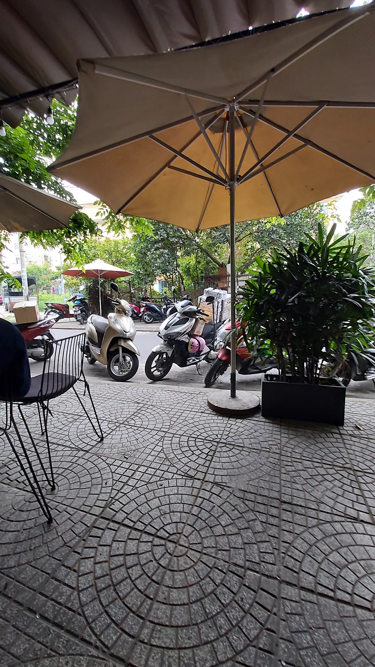 MiLan Milktea