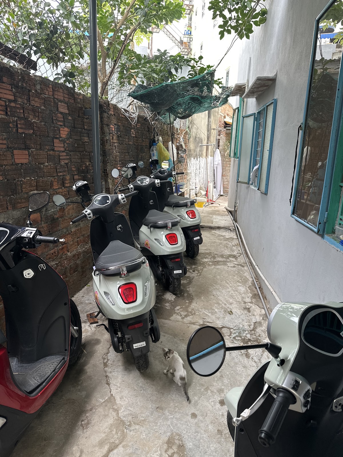 Thuê xe máy điện - A Thê — photo 2