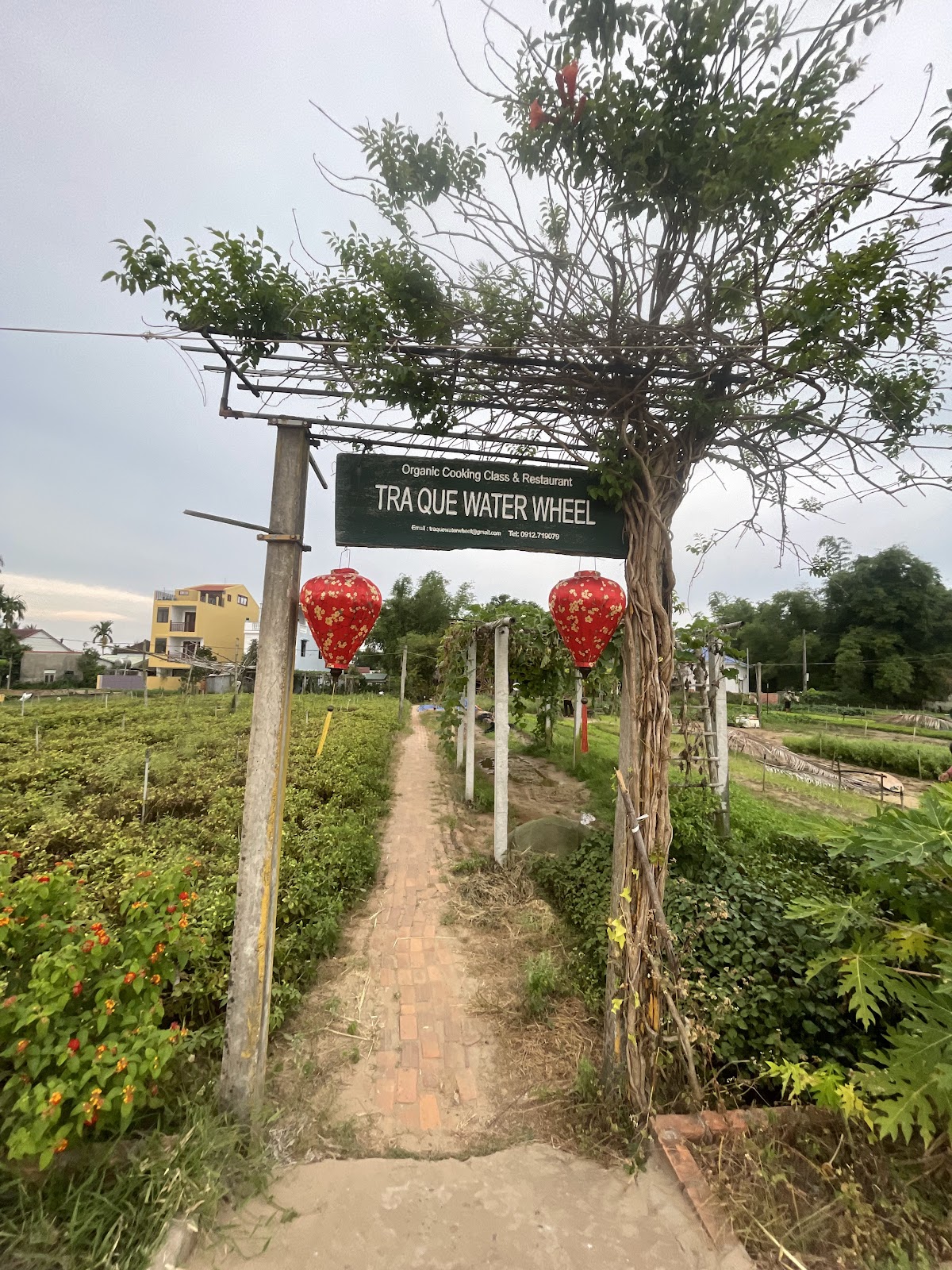 Làng rau Trà Quế
