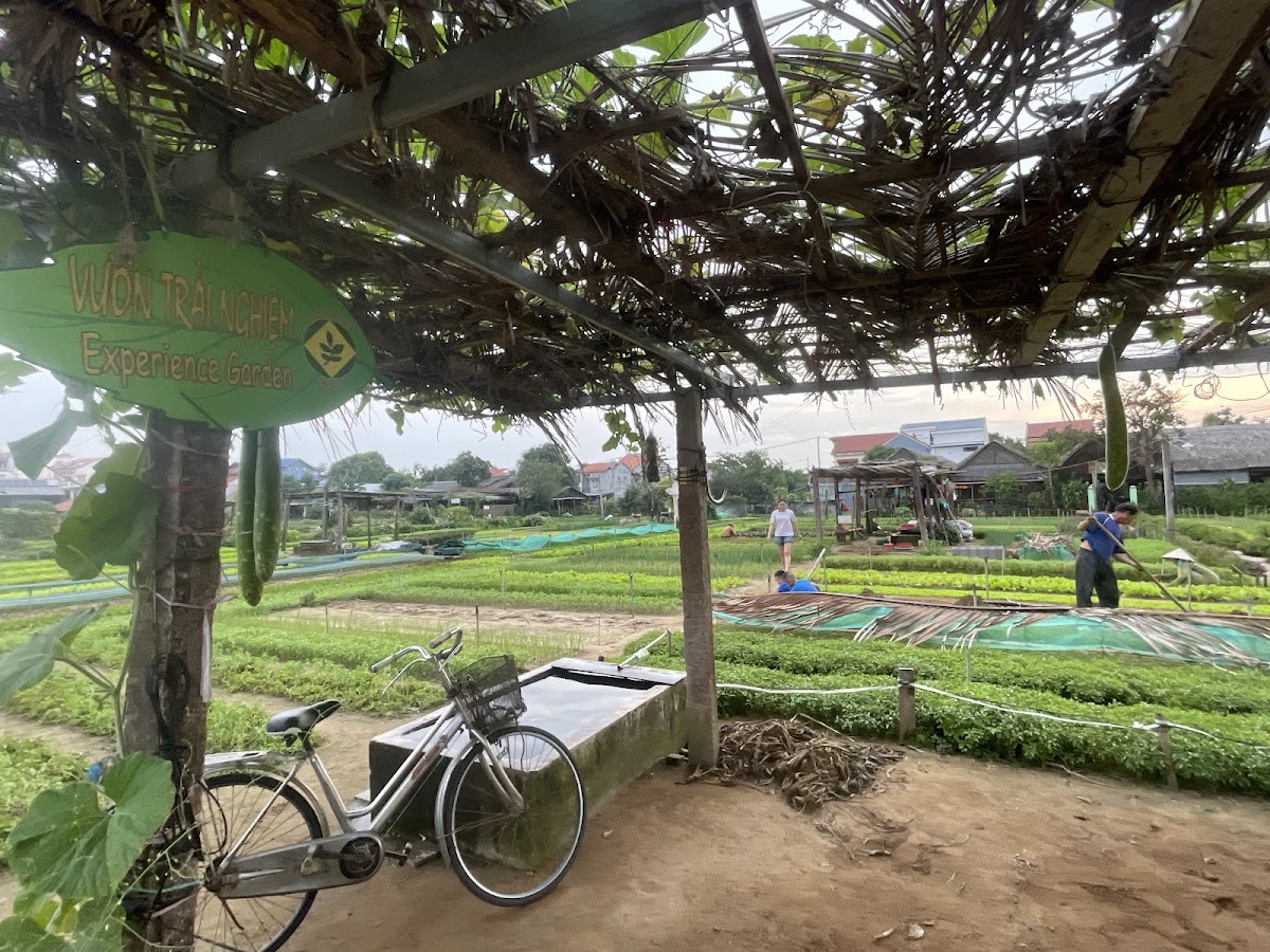 Làng rau Trà Quế — фото 3