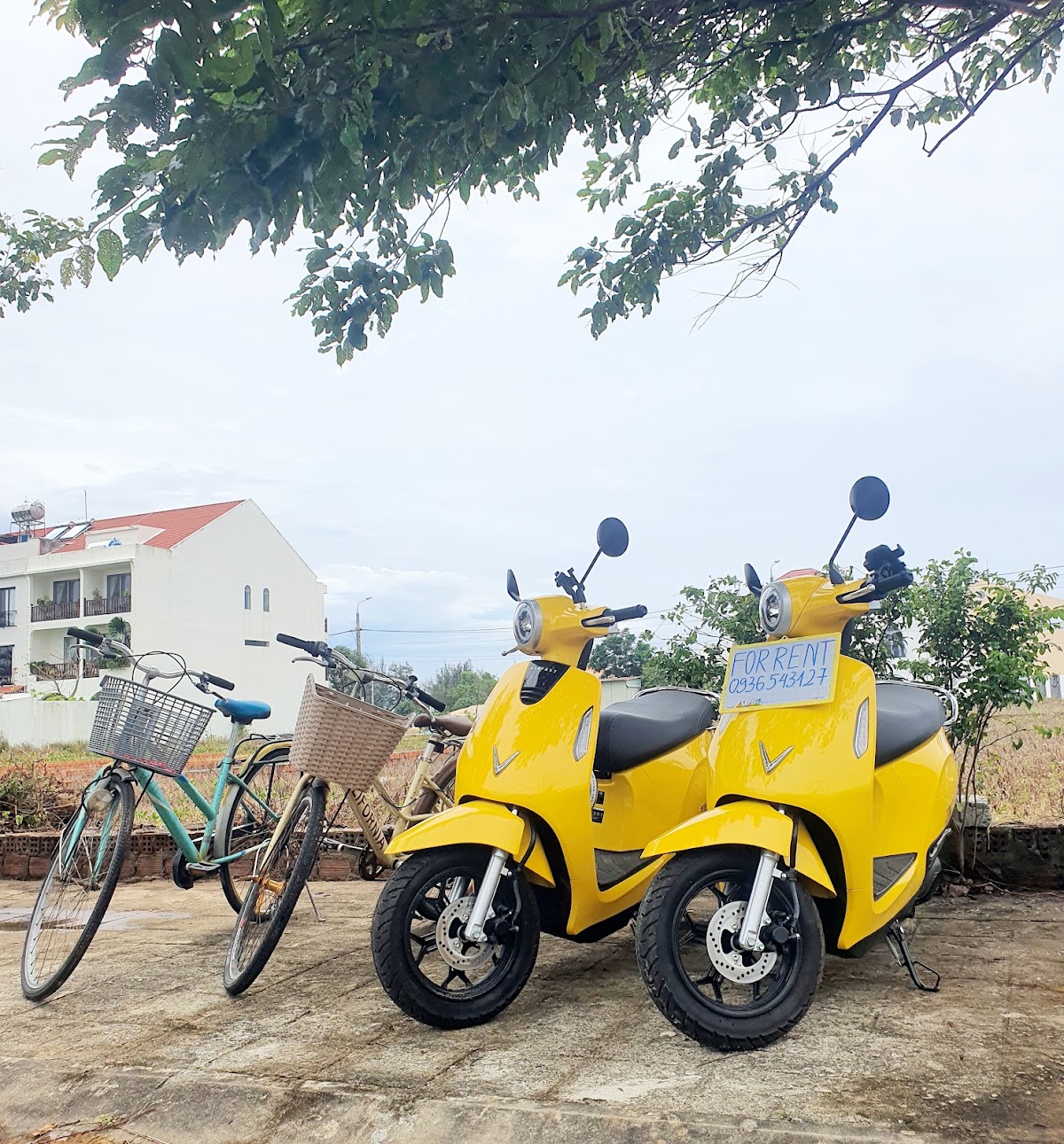 EZRide Electric Scooter Rental - Cho thuê xe máy điện Hội An — фото 2