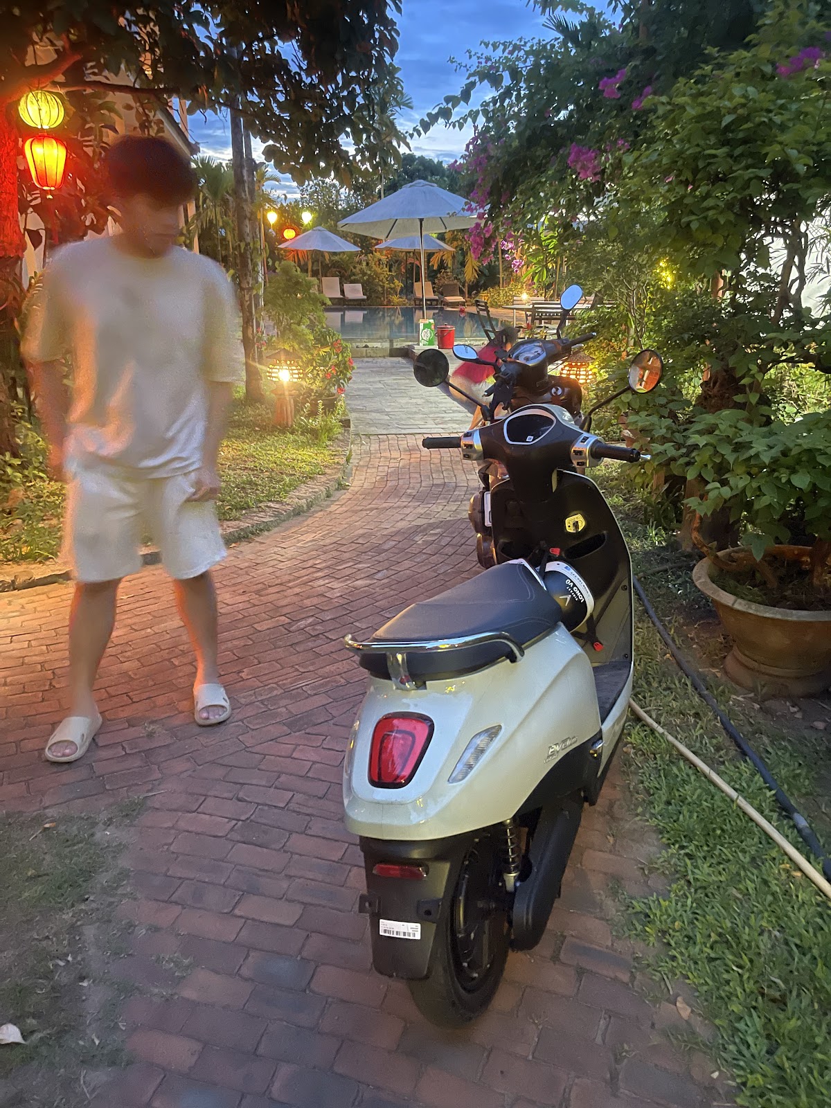 HTH HOI AN GREEN WHEELS - Cho Thuê Xe Máy Điện - Electric Motorbike Rental.