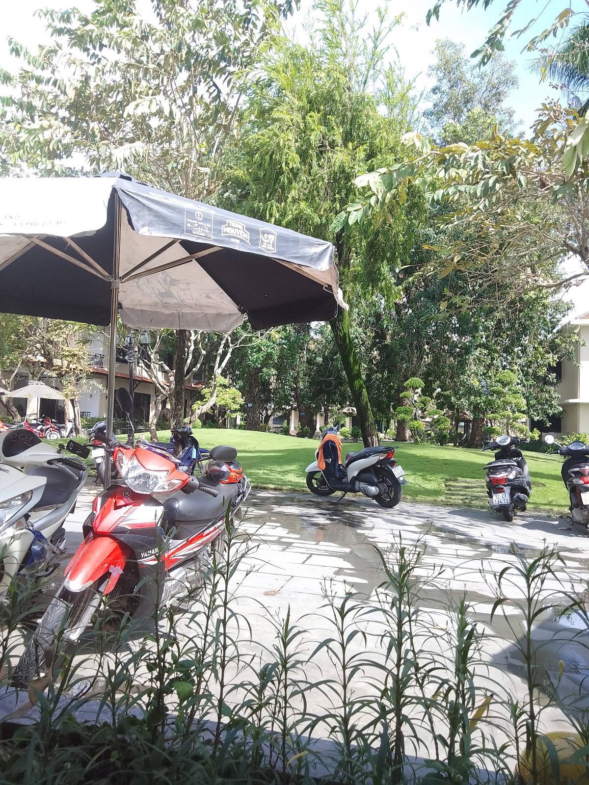 Khách Sạn Cafe