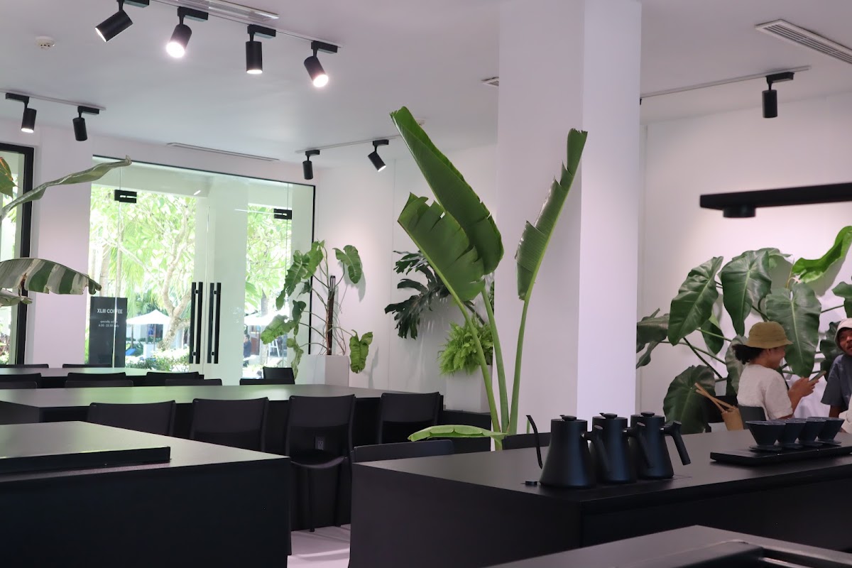 XLIII Specialty Coffee